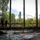 Illustration for article titled The Myth of an Untouched Chernobyl